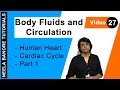 Body Fluids and Circulation - Human Heart - Cardiac Cycle - Part 1