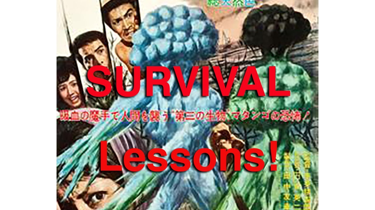 Attack of the Mushroom People A tale of Survival - YouTube