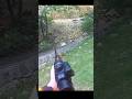 Ух ты, потрясающий снимок дикого ка