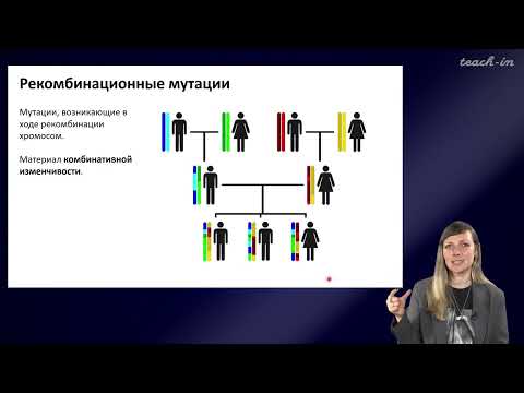 Шурупова Яна Андреевна - Теория эволюции - 4. Изменчивость