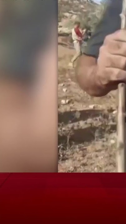      ɿ
 - نشر قبل 2 ساعة