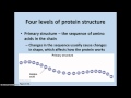 Understanding Proteins and Their Structures
