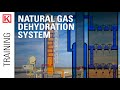 Gas dehydration system glycol regeneration teg glycol pump reboiler contact tower btex