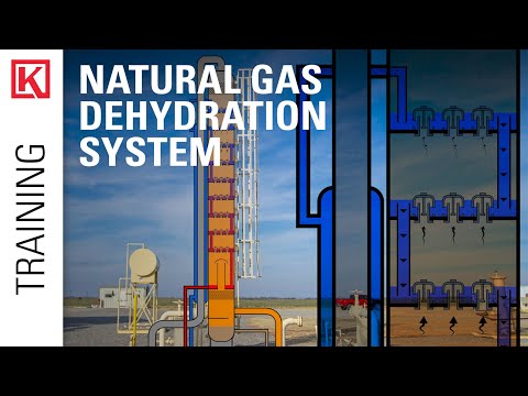 Gas Dehydration System: Glycol Regeneration (TEG) [Glycol Pump, Reboiler, Contact Tower, BTEX]