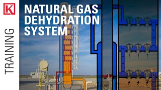 Gas Dehydration System: Glycol Regeneration (TEG) [Glycol Pump, Reboiler, Contact Tower, BTEX]