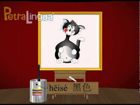 Cours anglais pour enfants - PetraLingua dvd livres cours en ligne