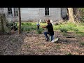 New Bird Feeder And Talking About Gardens (on 140 Year Old Farm)