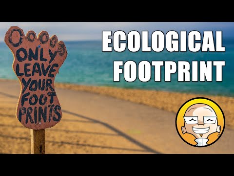 Video: Je ekologická stopa?