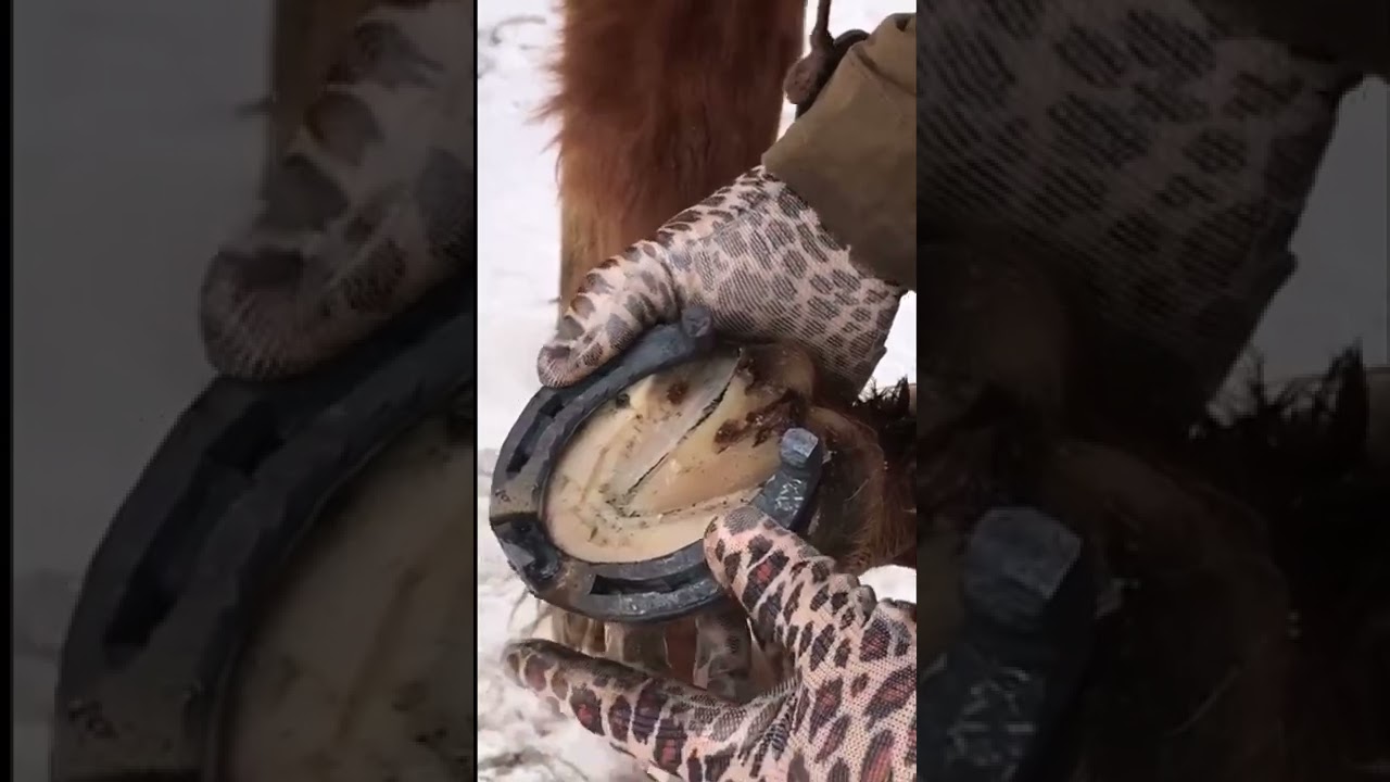 АТ ТАКАЛОО ыкмасы, как правильно подковать лошадь