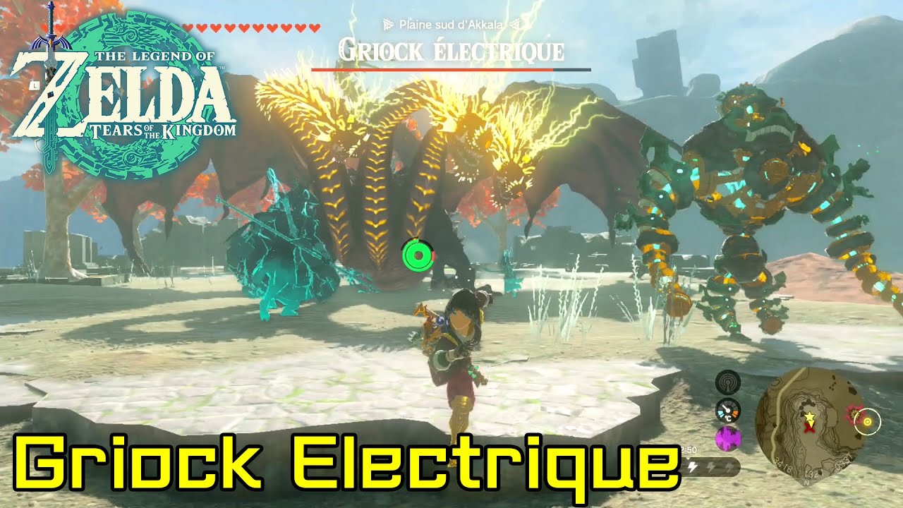 Zelda Tears of The Kingdom Trouver et battre le Griock Electrique Griock Electrique TOTK