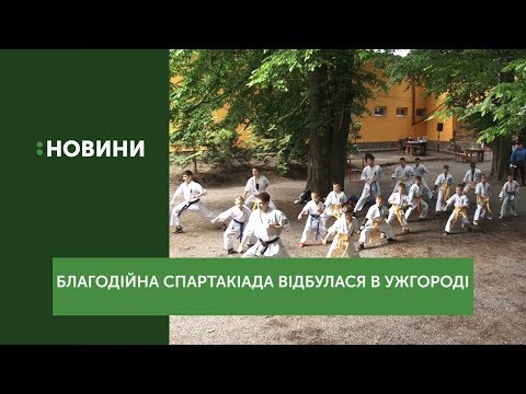 В парку "Підзамковий" відбулась благодійна спартакіада