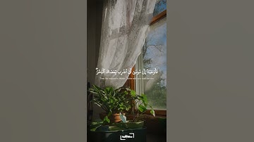 قال كلا إن معي ربي سيهدين | سورة الشعراء | محمود علي البنا #quran