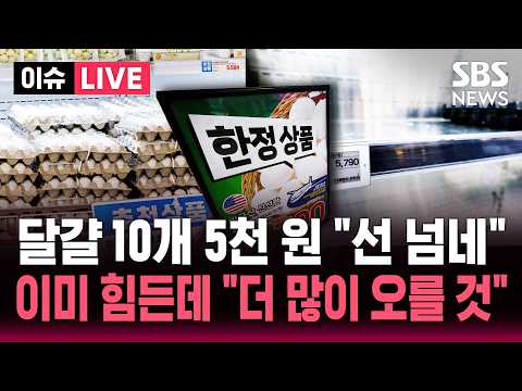 [🔴이슈] "선 넘네" 계란 10개에 5천 원.. '반값 수입란' 마트 오픈런 해도 '빈 손' / SBS 이슈라이브