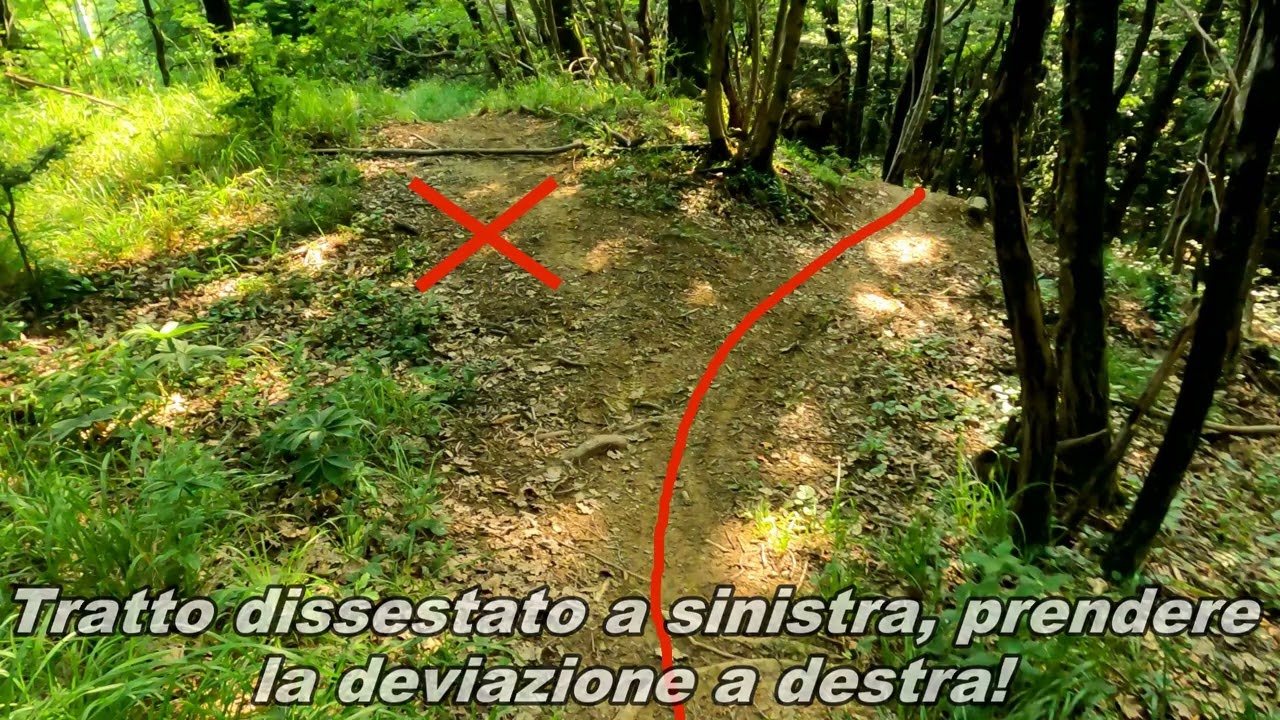 MTB Trieste Trails: Terra Nuova/Bisaboba