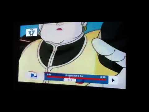 Dragon Ball Z