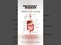 Learn how food travels through our body and turns into energy.Watch till the end for quick revision!