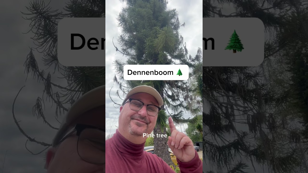 Types of trees in Dutch!