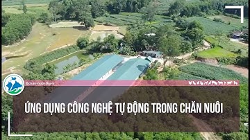 Ứng dụng công nghệ tự động trong chăn nuôi