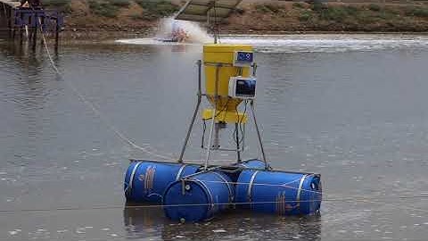 Working Video of Auto Feeding Machine