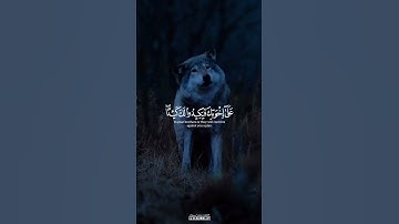 إِذْ قَالَ يُوسُفُ لِأَبِيهِ يَا أَبَتِ إِنِّي رَأَيْتُ أَحَدَ عَشَرَ كَوْكَبًا #القارئ_محمد_اسبيعان