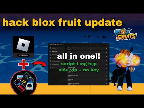 Cách hack Blox Fruit mới nhất – Tổng hợp script update siêu VIP, nhiều bản không cần key