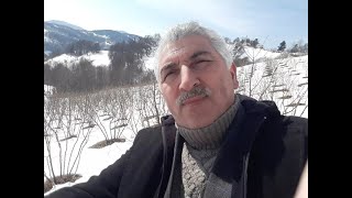 Yüksel Mürsel KARAYİĞİT \