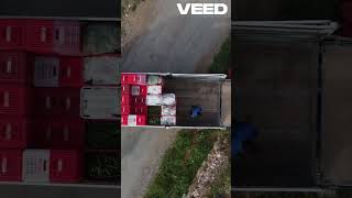 Finwhale Transportation Services