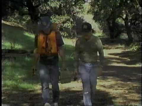 Fishmasters E05 2/3