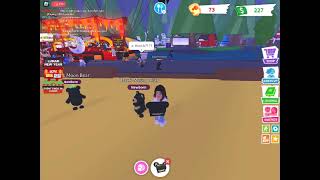 OPENING 20 🐻 BEAR 🐻 BOXES IN ADOPT ME ROBLOX - LUNAR NEW YEAR EVENT 2023 - YEAR OF THE RABBIT 🐇