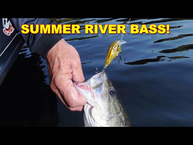 Summer River Bass Fishing, How To