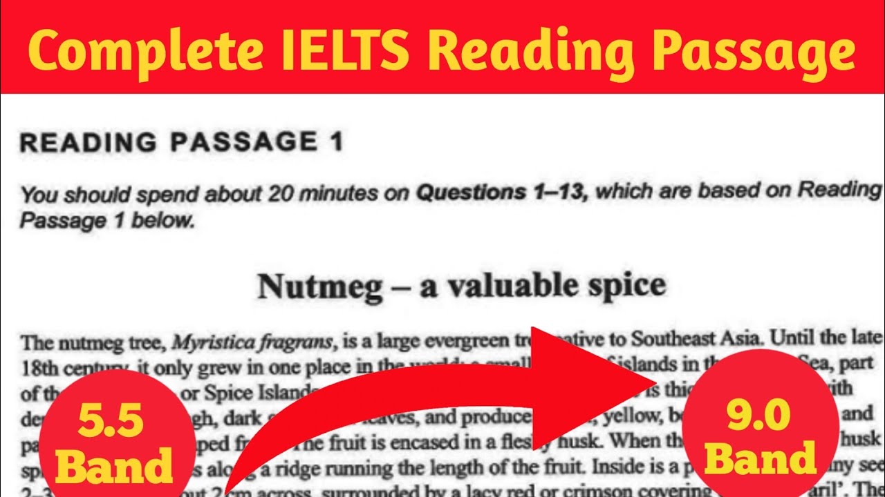 IELTS Reading Passage Solution In 10 mins #ielts #ieltsreading - YouTube