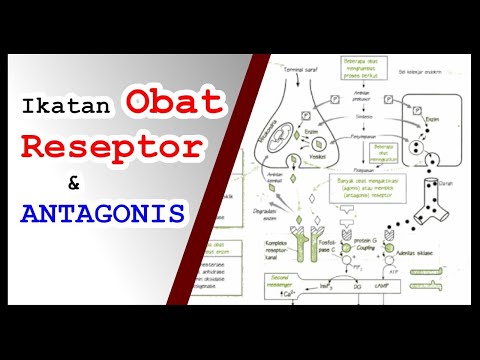 Ikatan Obat pada Reseptor dan Antagonis - Interaksi Obat dengan Reseptor (2/5)