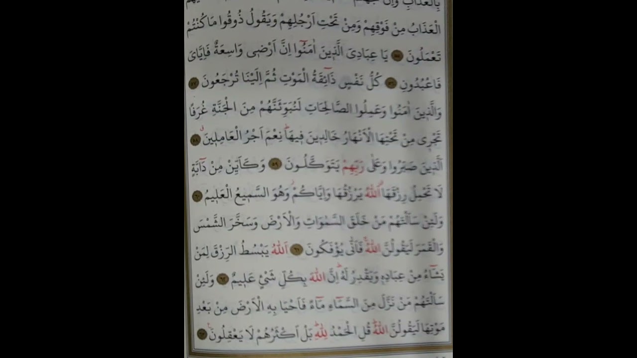 Hüseynî Makamında Aşr-ı Şerif ( Ankebût Sûre-i Celilesi 56-63 Ayet-i Kerimeler )