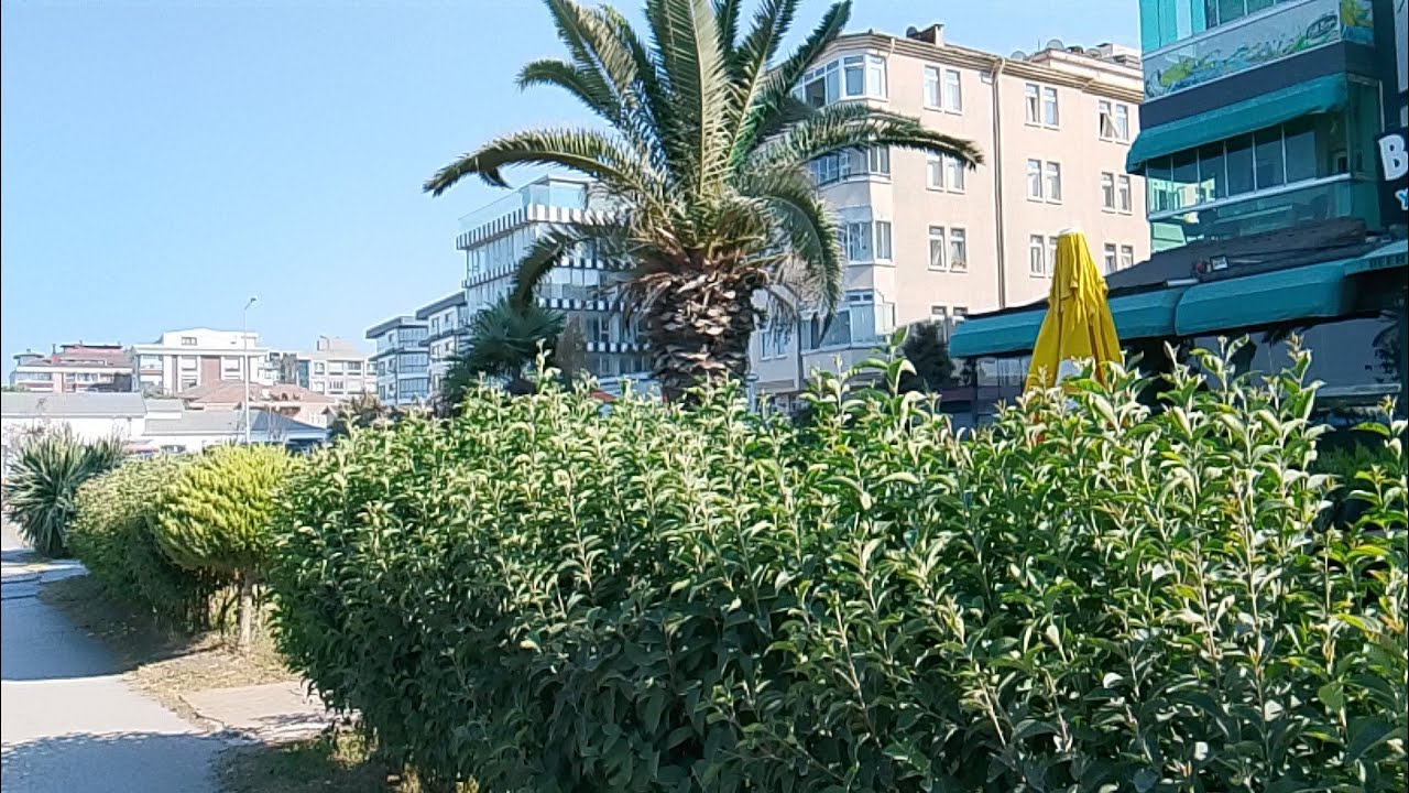 هلا وغلا.. جواتنا في مول لوفليت..مكان حلو👍 سامسون تركيا 