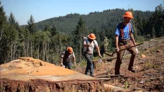 Find Your Path: Logging Crew