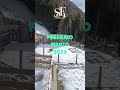 Maso Gallo Cedrone in Trentino - SCUDERIA FIDO