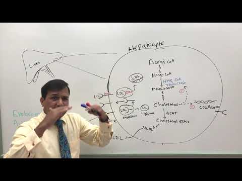 Video: PCSK9-Inhibitoren Vs. Statine: Was Ist Der Unterschied?