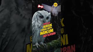 The manguni owl becomes a victim of mothers #viral