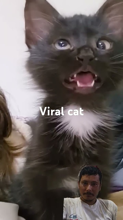 https://youtube.com/shorts/9i5-KdvjWHI?si=T0QH0lUwOvvv6SRM