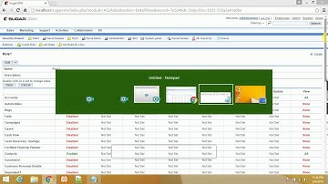 SugarCRM User and Role creation and Mail settings, Assigning permissions