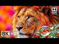 Animal Planet in 8K HDR Dolby Vision | 120FPS OLED Demo for 4K &amp; 8K TVs