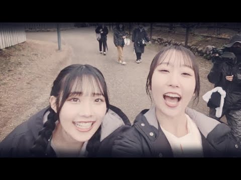 【Juice=Juice】愛・愛・傘 2024(DVD Magazine vol.42 ver.)