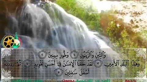تلاوة لا توصف  للشيخ ماهر المعيقلي سورة التين  maher maa'ikly surah al tin