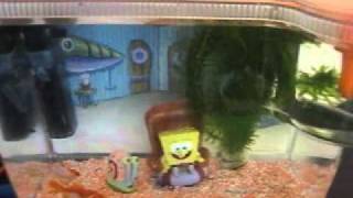 sponge bob square pants 15 Litre fish tank accessories by Kelly Smith 26,824 views 12 years ago 3 minutes, 59 seconds