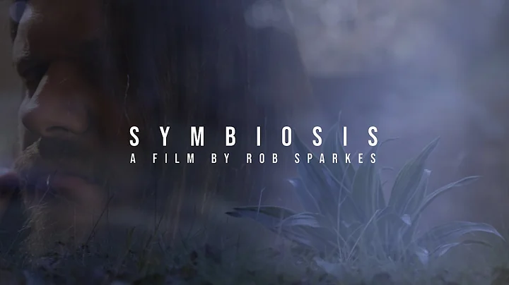My Rode Reel 2021: Symbiosis