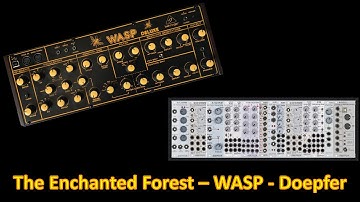 The Enchanted Forest - Behringer WASP - Doepfer Generative Patch