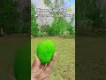 New YouTube channel creator please support #support #viral #vlog #new