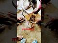technical video #viral