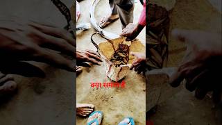 technical video #viral