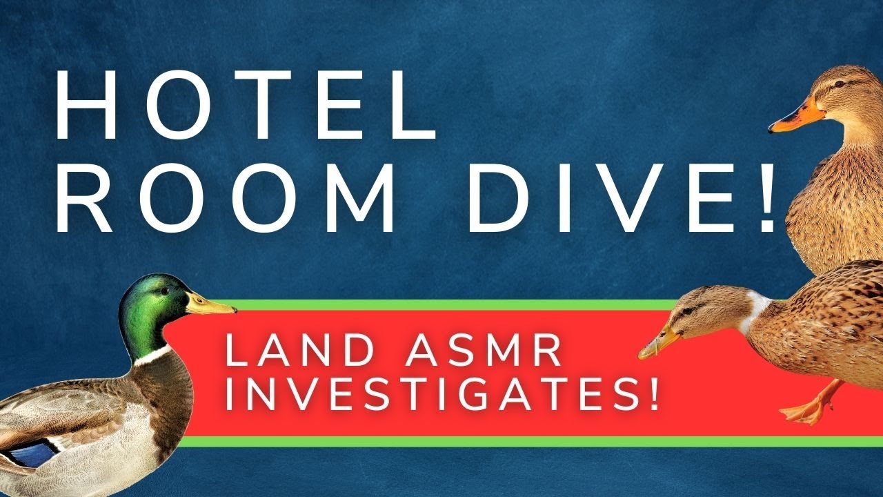 ASMR: Courtyard Newark University of Delaware Full Hotel Room Tour